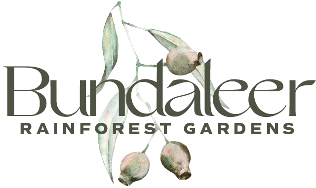 Bundaleer Rainforest Gardens
